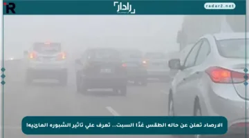 الأرصاد تعلن عن حالة الطقس غدًا السبت.. تعرف على تأثير الشبورة المائية!